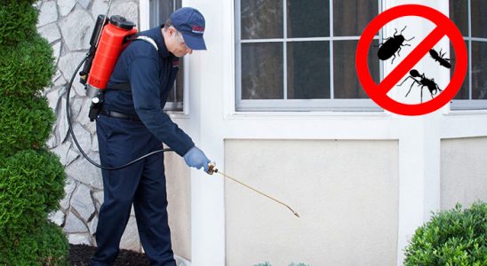 Yahşihan Fare İlaçlama böcek ilaçlama ve haşere kontrolü — ilaclama-tr.com